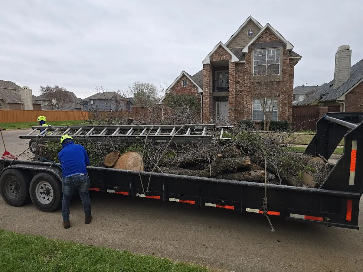 Expert Tree Removal with proper safety equipment in Kane